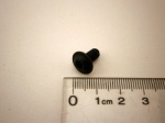 SCREW M5 X 10MM TORX