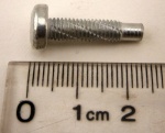 SCREW - TRIM FIXINGS FREELANDER 1