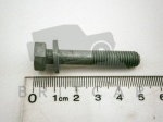 BOLT M8 X 45MM WITH WASHER