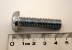 WINDSCREEN HINGE RETAINING SCREW DEFENDER