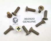 DOOR HINGE SCREW INTO DOOR - RANGE ROVER CLASSIC