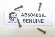 FRONT DOOR CASING SCREW - DISCOVERY 1 1989-1998 AND DISCOVERY 2 1998-2004