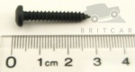 SCREW NO8 X 1 SELF TAPPING