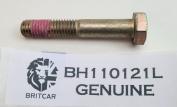 BOLT M10 X 60MM 1ST 30MM THREADED