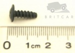 SCREW NO8 X 13MM POLYMATE
