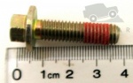 SCREW - TENSIONER TO BLOCK 2.5L V6 FREELANDER 1