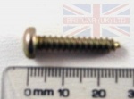 SCREW PAN HEAD NO10 X 1 SELF TAPPING