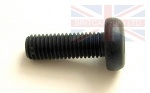 BOLT M10 X 30MM TORX PAN