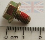 SCREW M6 X 10MM