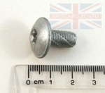 SCREW TORX-FLANGE WINDOW FRAME DISCOVERY 2