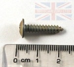 SCREW NO8 FLANGED HEAD