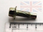 BOLT M8 X 25MM