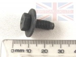 SCREW WASHER TRIM RETAINING F/L-GCAT
