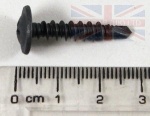 SCREW FOR LICENCE PLATE DISCOVERY 3 + 4 - RANGE ROVER VOGUE