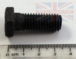 BOLT M12 X 30MM V8 CAMSHAFT