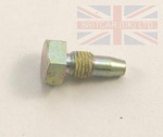 TAPPET SLIDER RETAINING BOLT 2.5/2-300TDI - DEFENDER - DISCOVERY 1 - RANGE ROVER CLASSIC