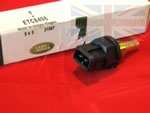 TEMPERATURE SENSOR (COLD START) EFI - ALL VEHICLES