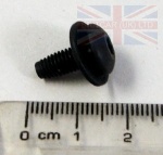 SCREW TORX SUNROOF FRAME DISCOVERY 1 + 2