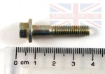 BOLT M6 X 30MM FLANGED HEAD