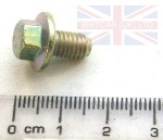 FLANGED HEAD SCREW - M6 X 10MM - DEFENDER 1987-2006