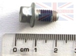 SCREW M6 X 12MM FLANGED HEAD