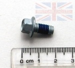 BOLT M6 X 12MM FLANGED HEAD