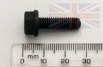 SCREW M6 X 20MM FLANGED HEAD