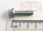 SCREW M6 X 25MM FLANGED HEAD