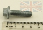 FLANGED HEAD SCREW - M8 X 30MM - MULTIPLE APPLICATIONS