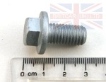 BOLT M10 X 20MM FLANGED HEAD