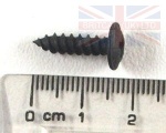 SCREW POLYMATE 8 X 16MM