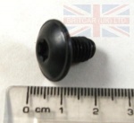 SCREW TORX FLANGED REAR DOOR LOCK FREELANDER 1