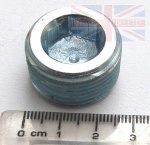 BLANKING PLUG - BLOCK TD5 DEFENDER - DISCOVERY 2