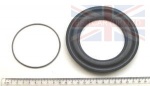 CRANKSHAFT REAR OIL SEAL 1.8 PETROL - FREELANDER 1
