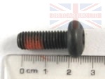 DOOR HINGE SCREW DISCOVERY 1 - RANGE ROVER CLASSIC
