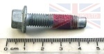 BOLT M8 X 30MM FLANGED HEAD