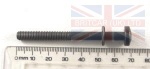 OIL SCREEN RETAINING BOLT 65MM AUTO