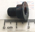 FRONT BRAKE DISC SCREW - M8 X 15MM - RANGE ROVER 2002-2012