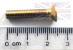 SCREW M5 X 25MM