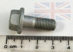 BOLT RETAINING BRAKE CALIPER CARRIER- FREELANDER 1 - DISCOVERY 2 - RANGE ROVER P38