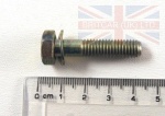 BOLT M8 X 35MM FLANGED HEAD+WASHER
