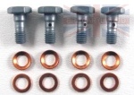 BANJO BOLT SET 6MM FUEL INJECTOR 2-300TDI - DEFENDER - DISCOVERY 1 - RANGE ROVER CLASSIC
