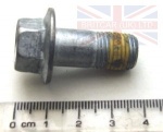 FRONT BRAKE DISC FLANGED HEAD BOLT - FREELANDER 1 1996-2006