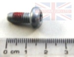 SCREW M6 X 14MM TORX-PAN
