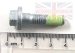 BOLT M8 X 30MM FLANGED HEAD