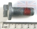 BOLT - M10 X 25MM - FREELANDER 1 1996-2006