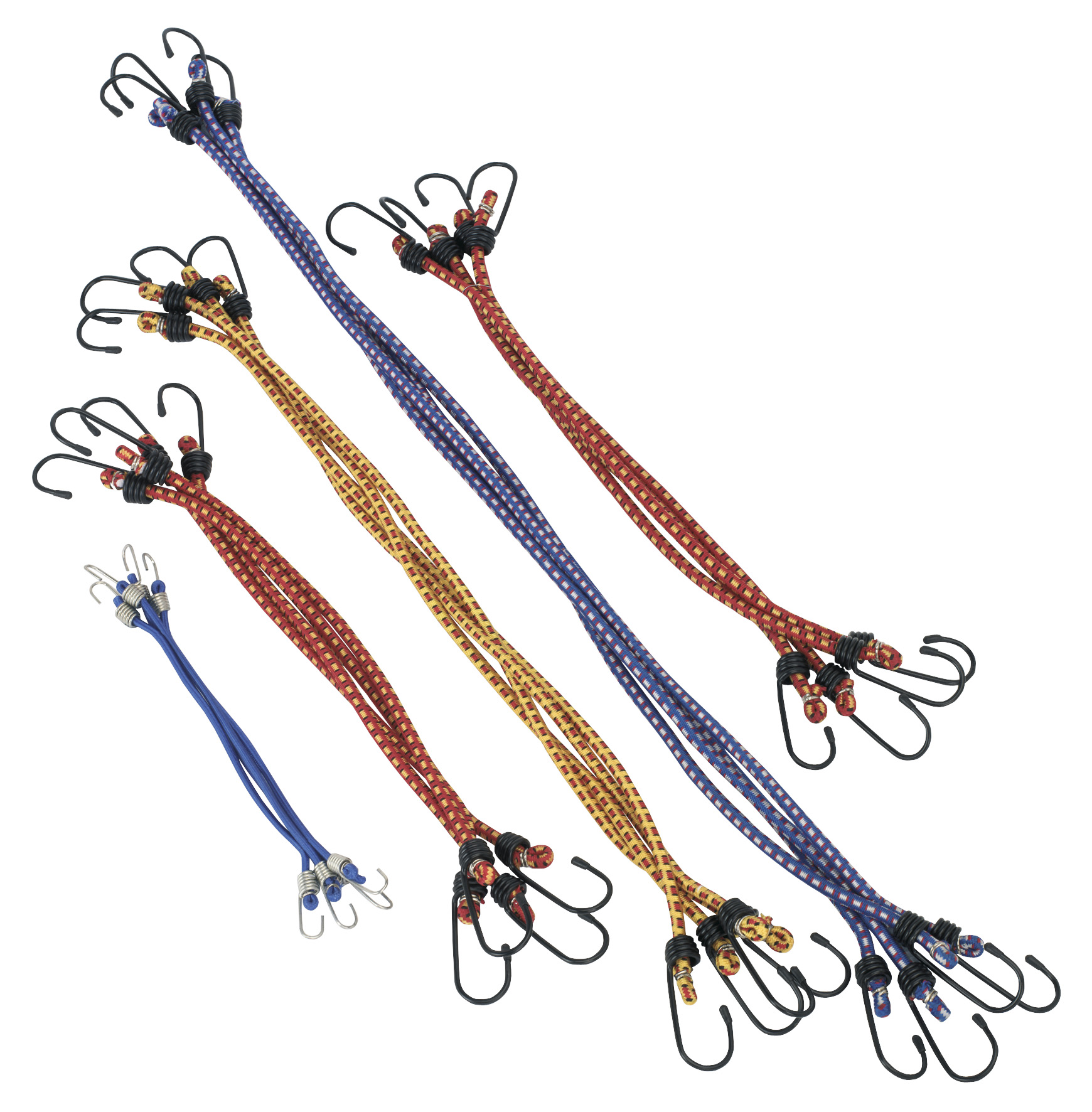 Bungee Cords & Cargo Nets