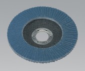 Flap Discs